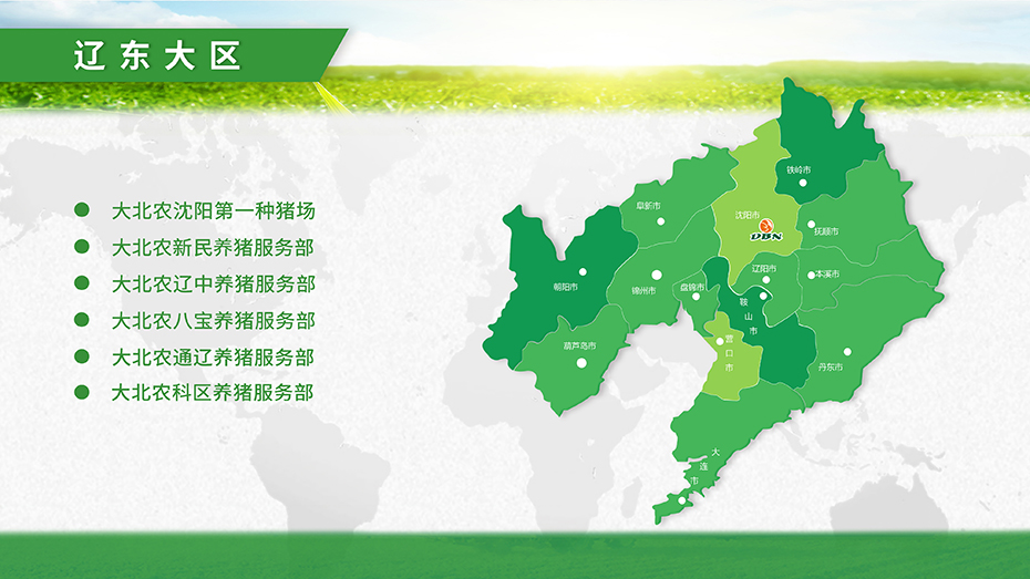 辽东大区.jpg